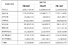 延平融资清欠服务